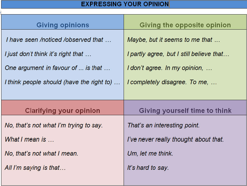 useful phrases for opinion essay