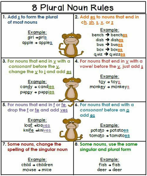 8 plural noun rules