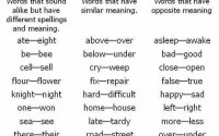 homonyms-synonyms-antonyms