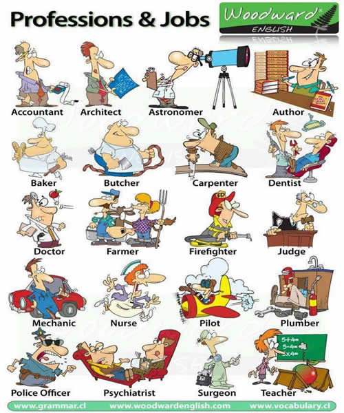 professions and jobs - english vocabulary