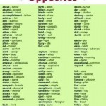 vocabulary-opposite-words