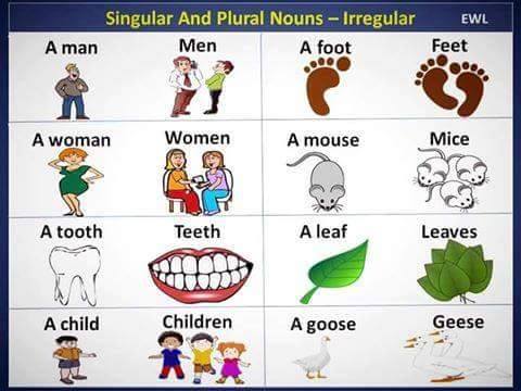 NOUNS: THE FORMATION OF PLURALS
