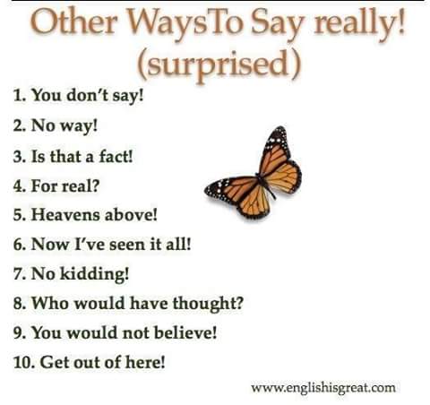 Other ways to Say REALLY (surprised)