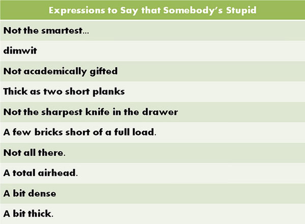 Expressions to Say That Somebody’s Stupid