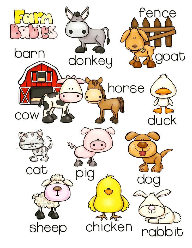Farm Babies Vocabulary