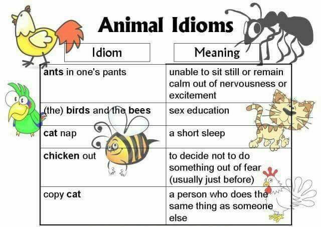 animal idioms-1