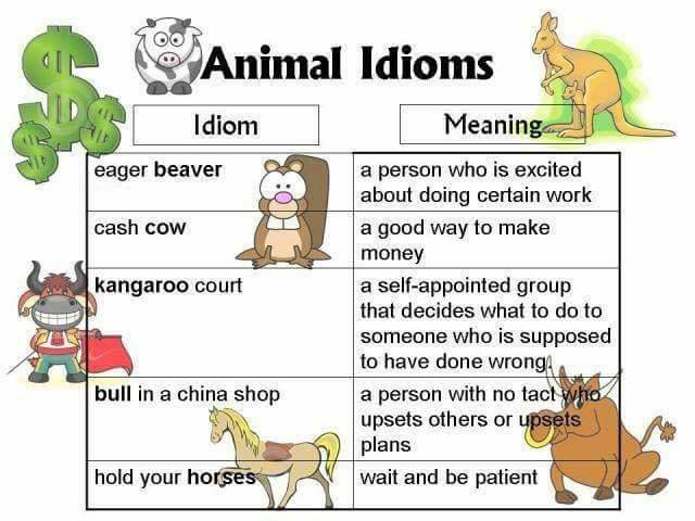 animal idioms-4