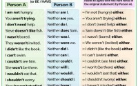 Neither and Either - English Grammar