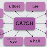 collocations with catch