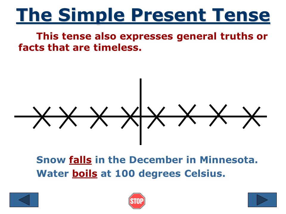 The Simple Present Tense-2
