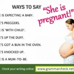 Ways to say she is pregnant