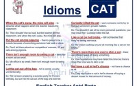 Idioms with CAT