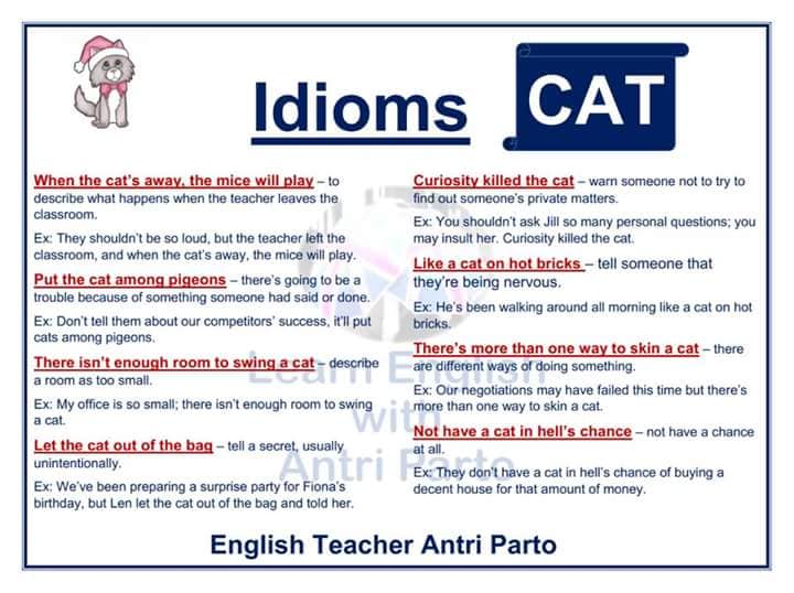 Idioms with CAT