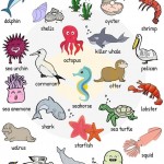 Sea Animals - English Vocabulary